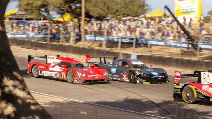 Microsoft esclarece rumores sobre fim de Forza Motorsport