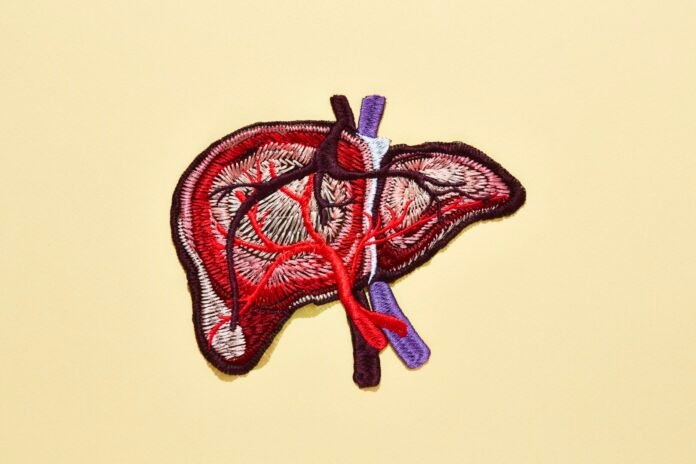 Mudar hábitos evita até 60% dos casos de câncer de fígado