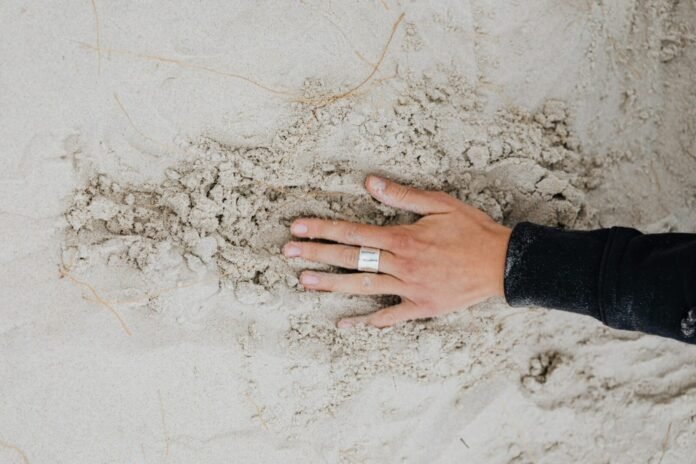 Humanos têm sétimo sentido semelhante ao de aves