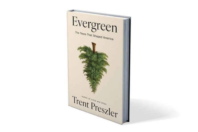 Como coníferas moldaram a história dos EUA Como coníferas moldaram a história dos EUA