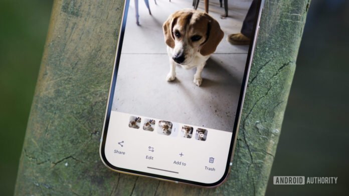 5 recursos do Google Photos que prendem os usuários