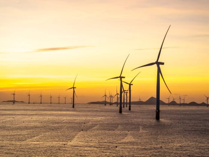 Parque eólico marinho na China vira refúgio para ostras e cracas